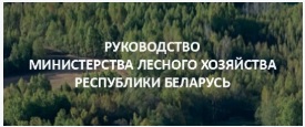 Руководство МЛХ
