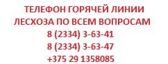ТЕЛ