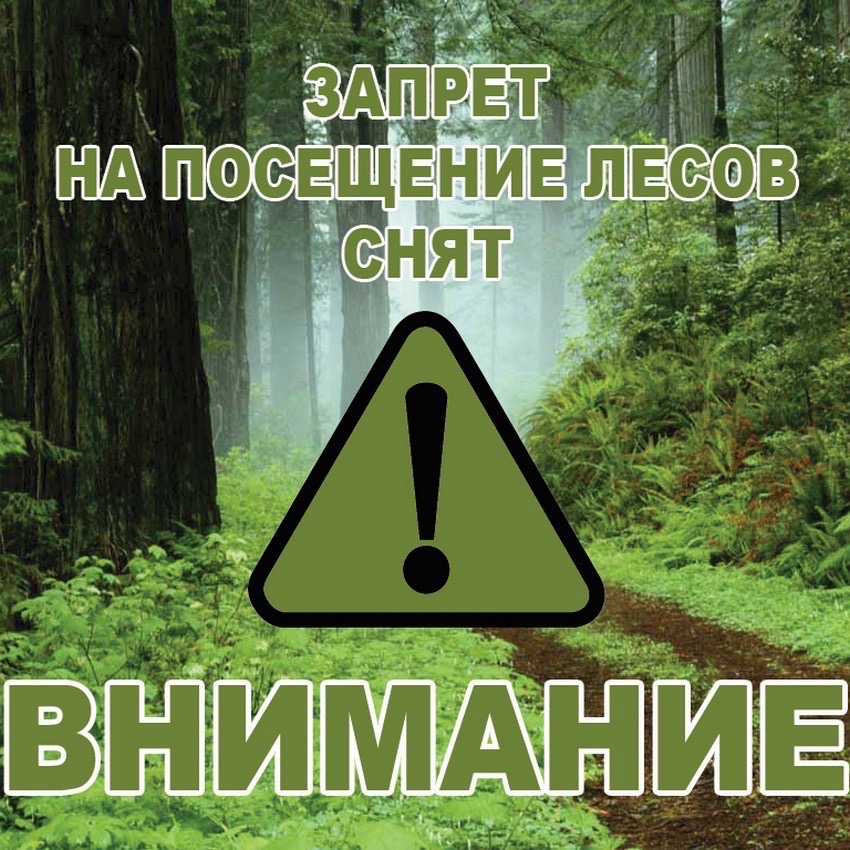 изображение viber 2023 10 11 07 42 53 327