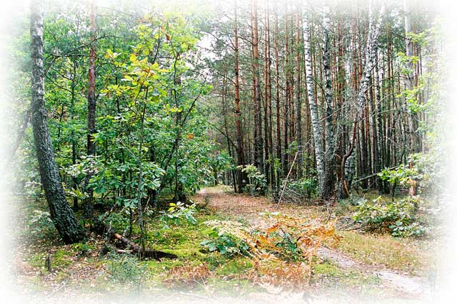 shkollesn4