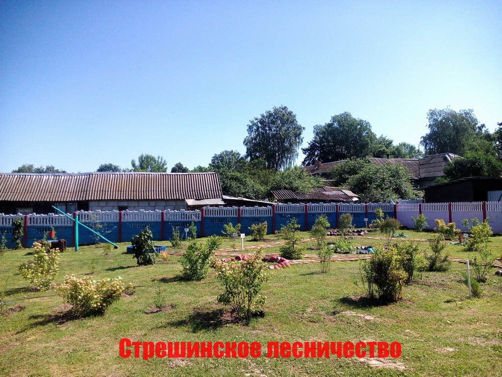IMG 20170616 101511