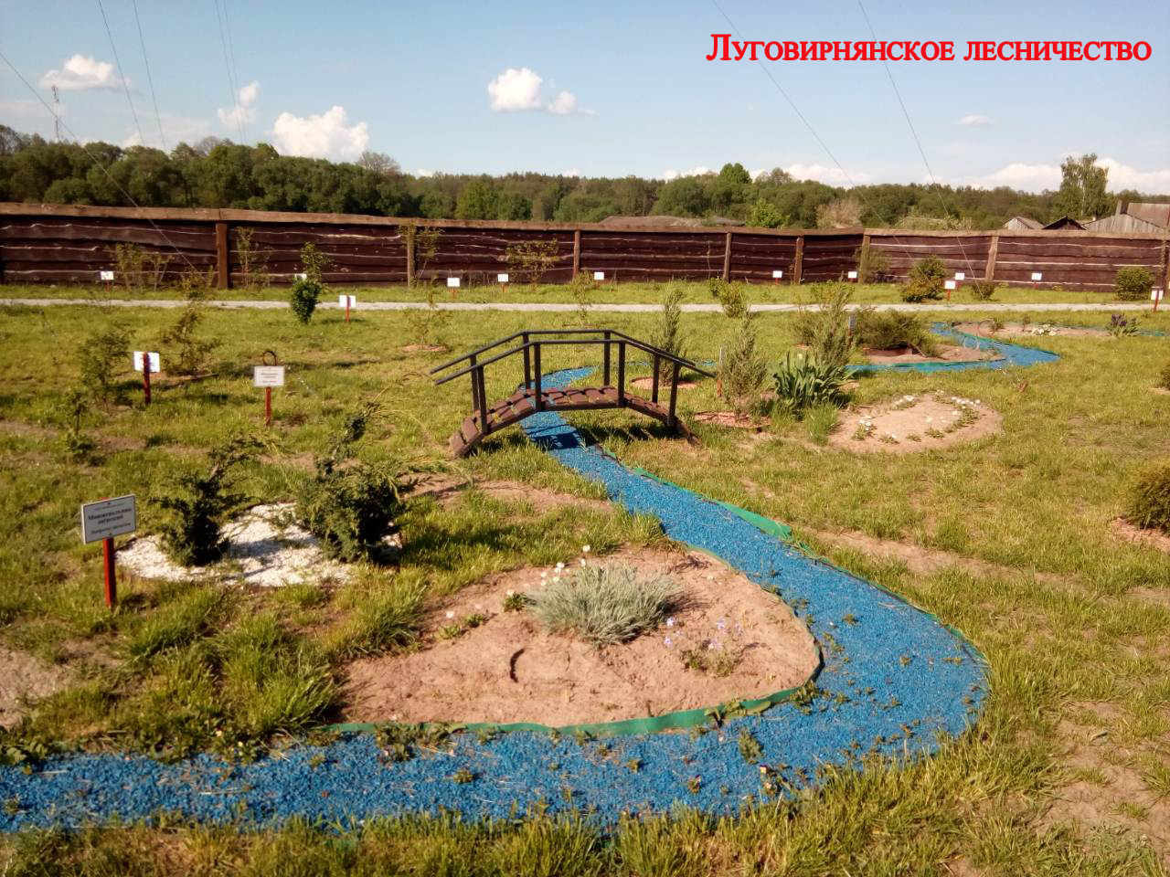 луговирнянское
