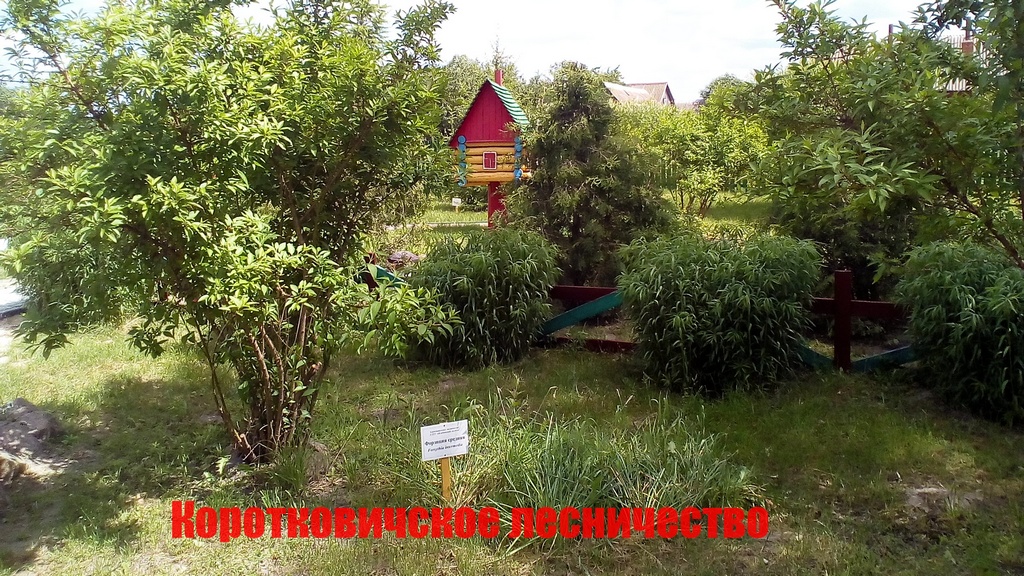 сайт