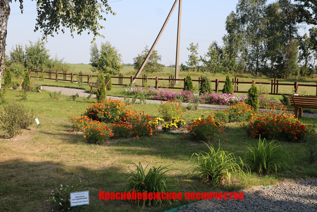 сайт кр