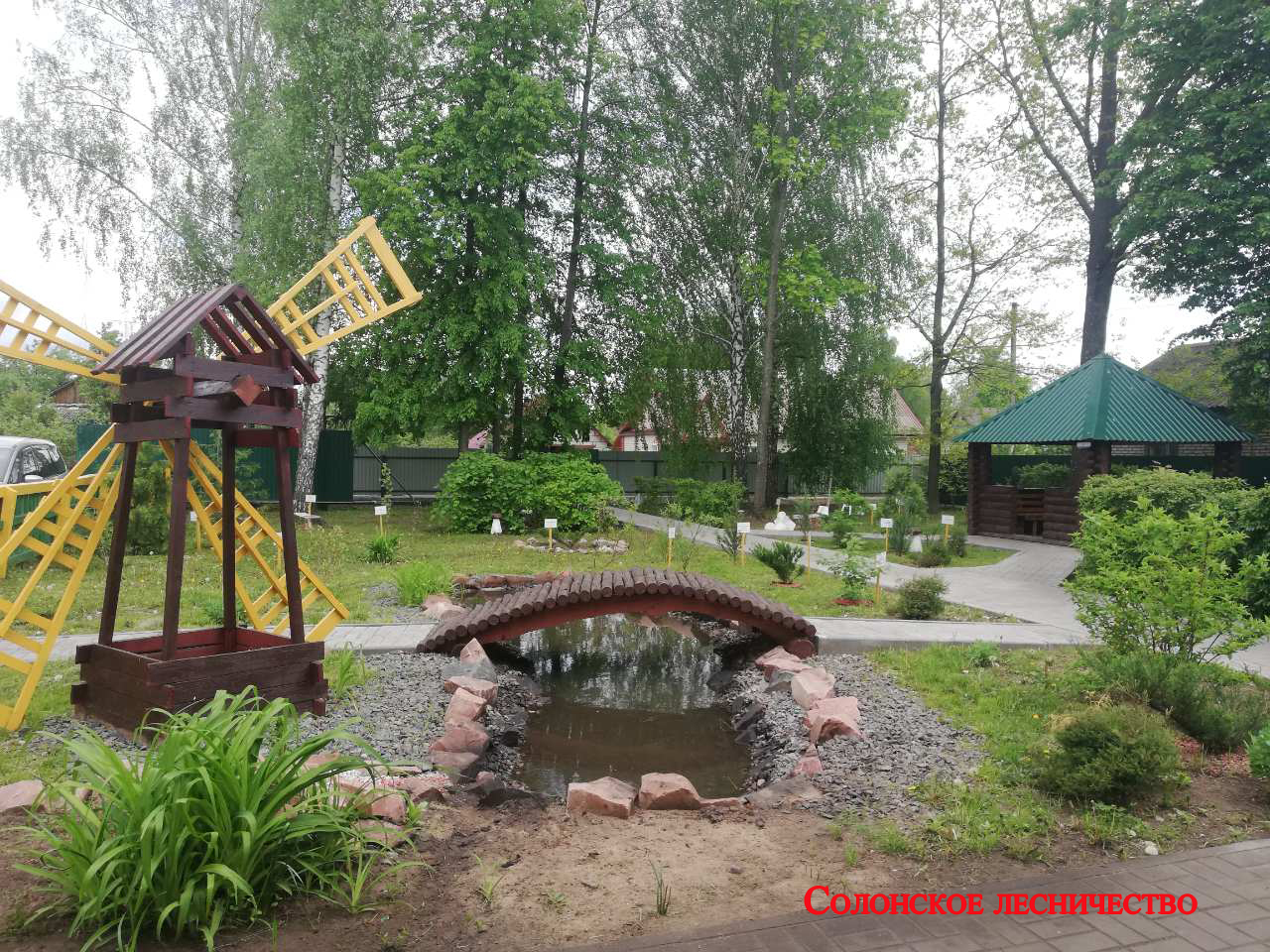 солонское 1
